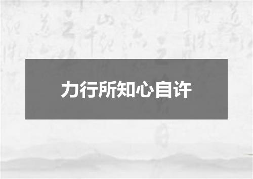 力行所知心自许