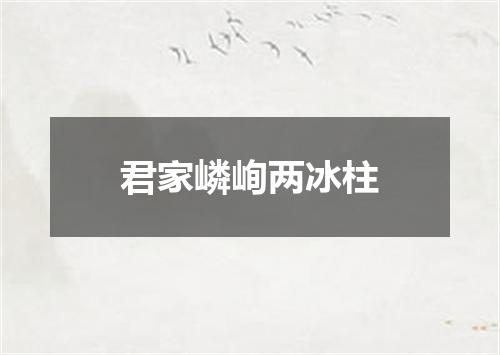 君家嶙峋两冰柱
