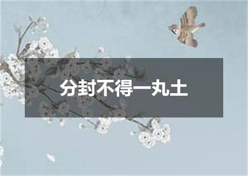 分封不得一丸土