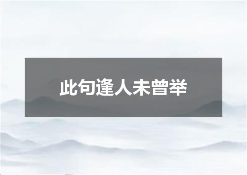 此句逢人未曾举