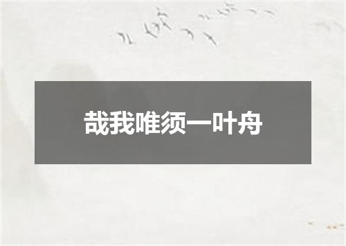 哉我唯须一叶舟