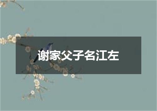 谢家父子名江左