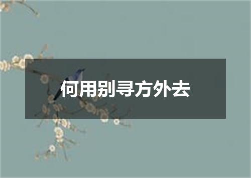 何用别寻方外去