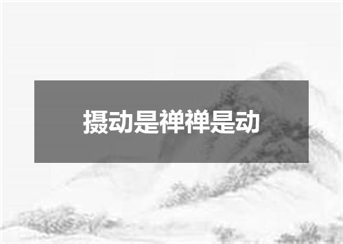 摄动是禅禅是动