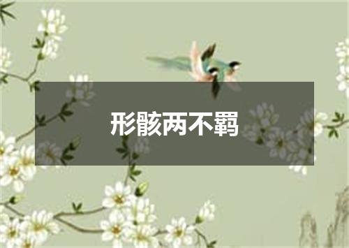 形骸两不羁