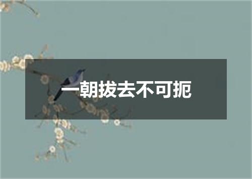 一朝拔去不可扼
