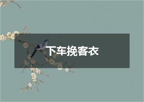 下车挽客衣