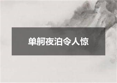单舸夜泊令人惊
