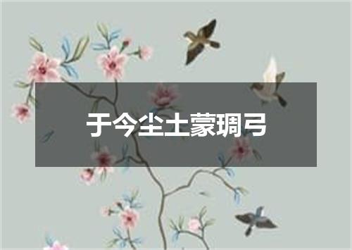 于今尘土蒙琱弓