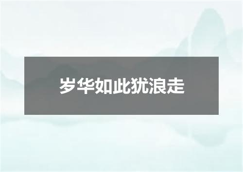 岁华如此犹浪走