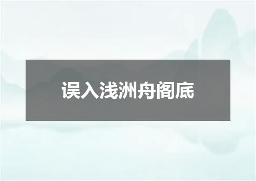 误入浅洲舟阁底