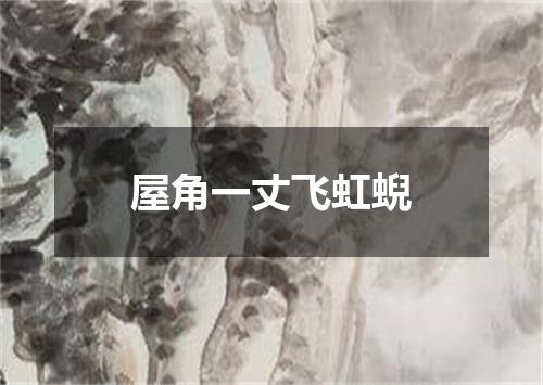 屋角一丈飞虹蜺
