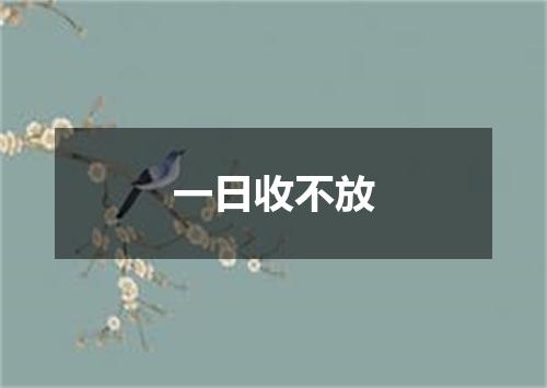 一日收不放