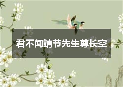 君不闻靖节先生尊长空