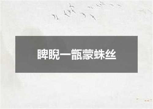 睥睨一甑蒙蛛丝