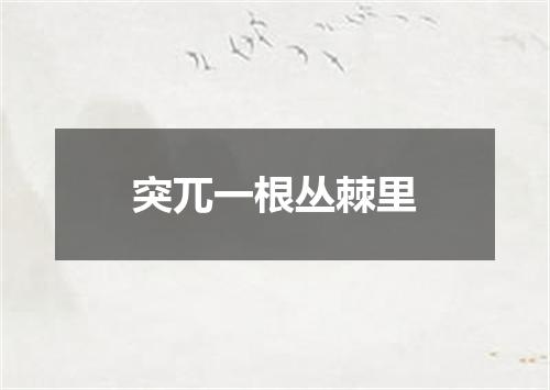 突兀一根丛棘里