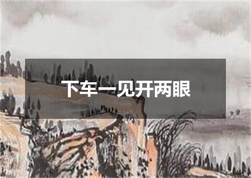 下车一见开两眼