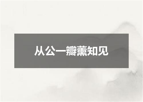 从公一瓣薰知见