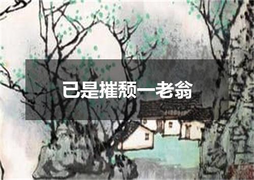 已是摧颓一老翁