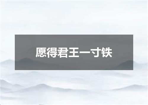 愿得君王一寸铁