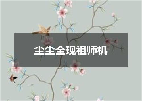尘尘全现祖师机