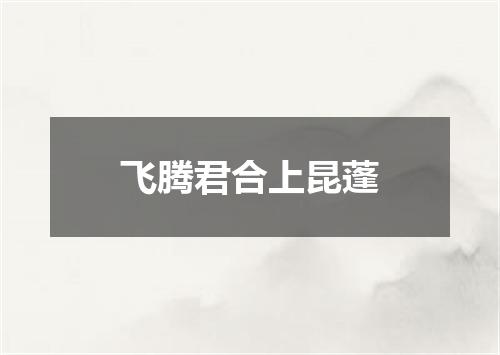 飞腾君合上昆蓬