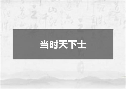 当时天下士