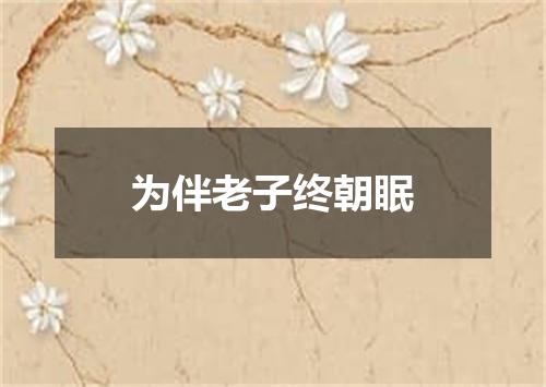 为伴老子终朝眠