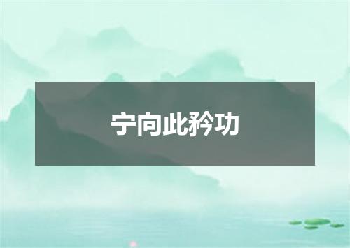 宁向此矜功