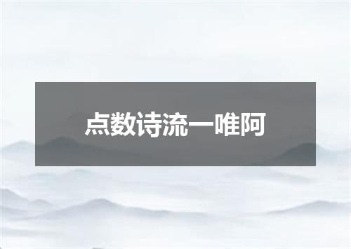 点数诗流一唯阿