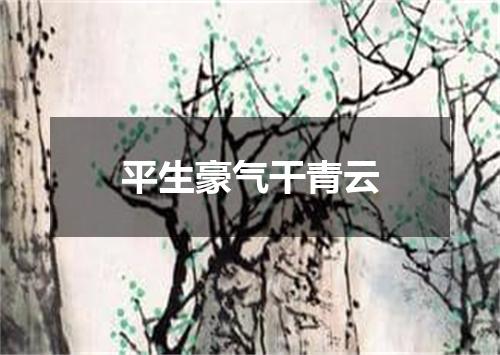 平生豪气干青云