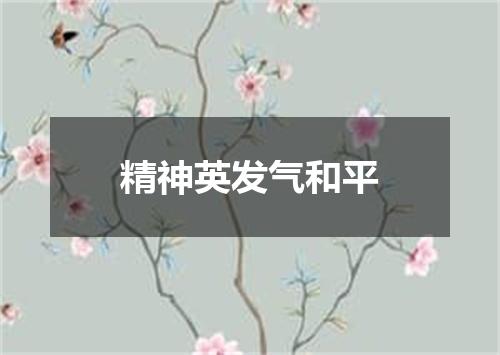 精神英发气和平