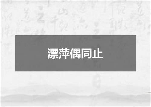 漂萍偶同止