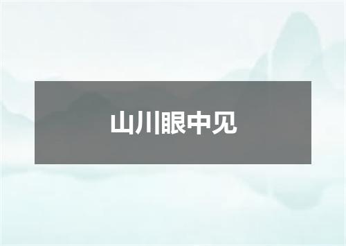山川眼中见