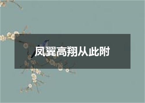 凤翼高翔从此附