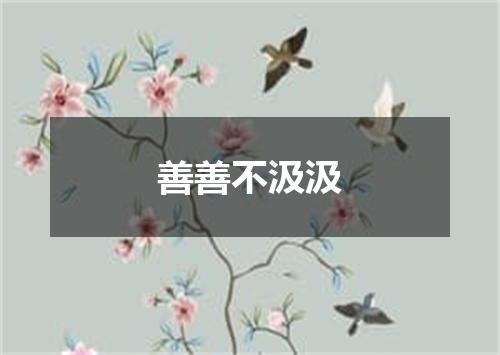 善善不汲汲