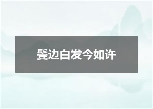 鬓边白发今如许