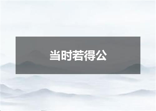 当时若得公