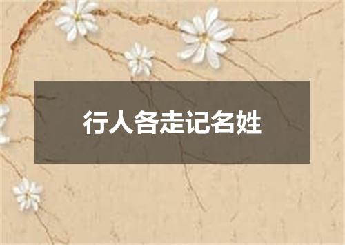 行人各走记名姓