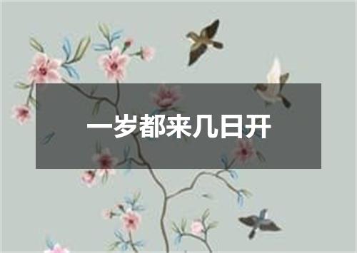 一岁都来几日开