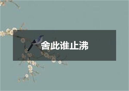 舍此谁止沸