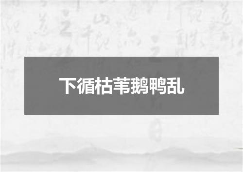 下循枯苇鹅鸭乱