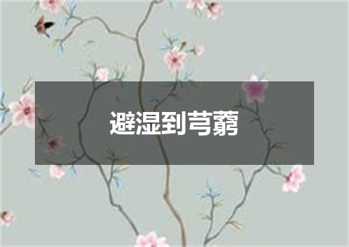 避湿到芎藭
