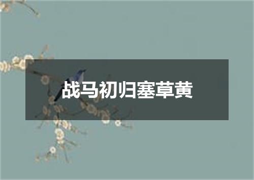 战马初归塞草黄