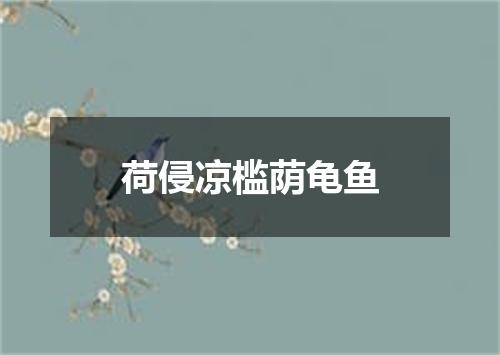 荷侵凉槛荫龟鱼