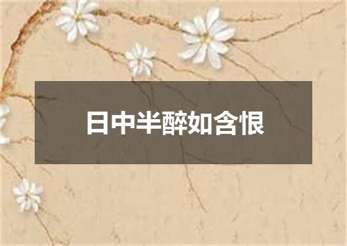 日中半醉如含恨