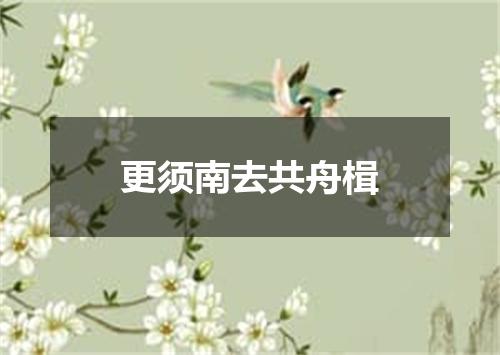 更须南去共舟楫