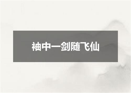 袖中一剑随飞仙