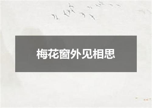梅花窗外见相思