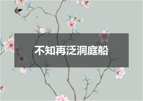 不知再泛洞庭船